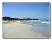 Jellyfish-Margarita-Island-Beaches-Venezuela-001